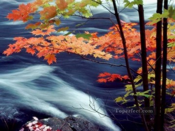 リアルな写真から Painting - レッドカエデの葉の川の絵画写真からアートへ